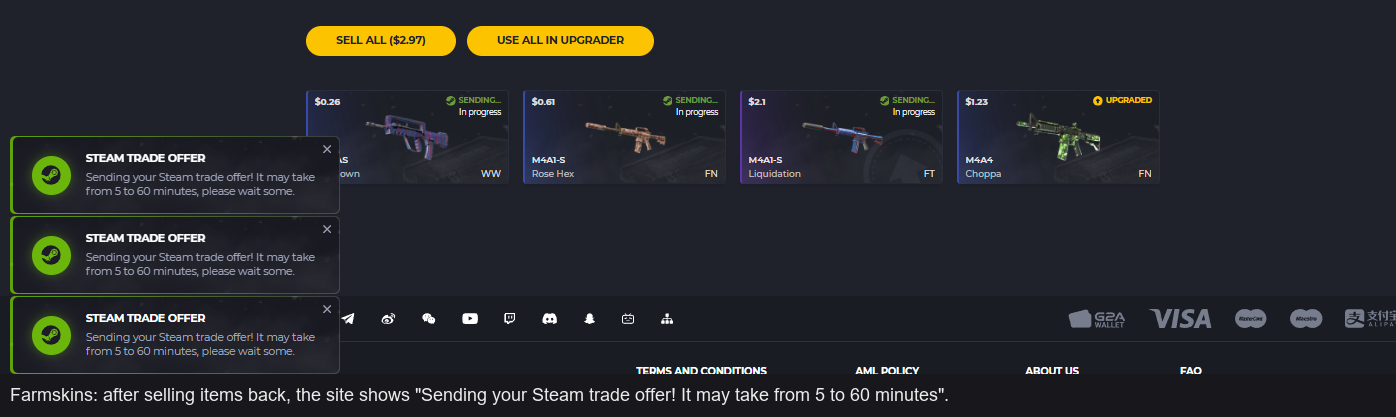 Farmskins: trade offer notice, 5–60 minutes
